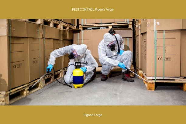 PEST CONTROL Pigeon Forge
